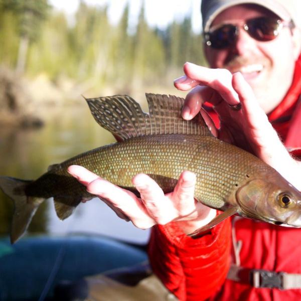 a person holding a fish