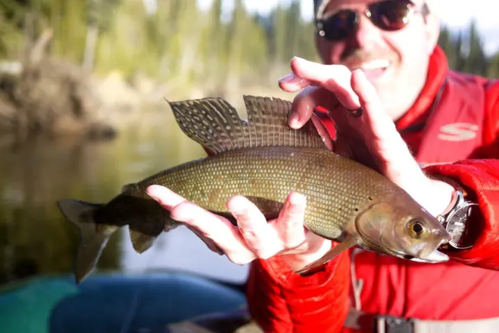 a person holding a fish