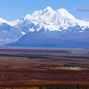 a field with a mountain in the background