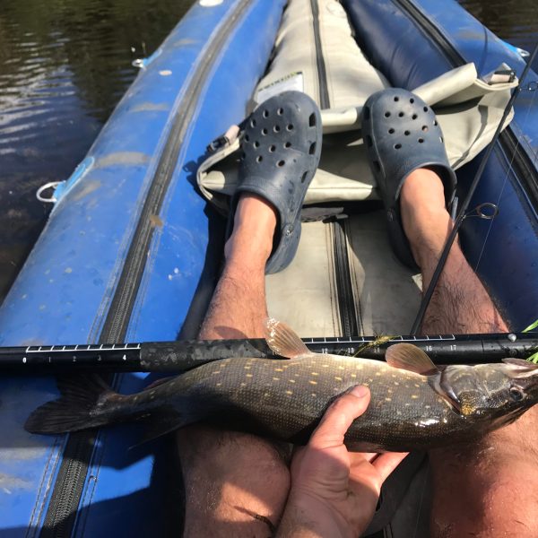 a person holding a fish in the water