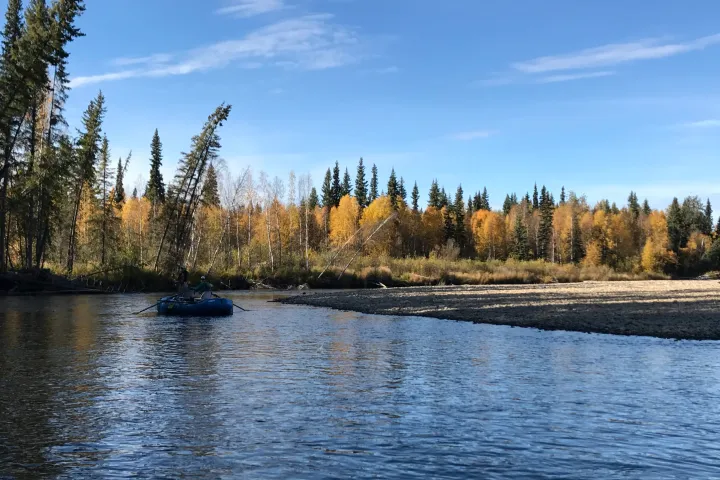 a large body of water surrounded by trees