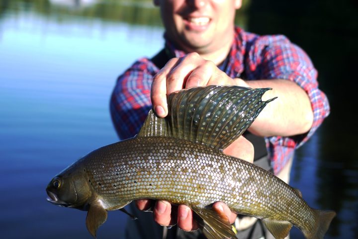 a man holding a fish in the water