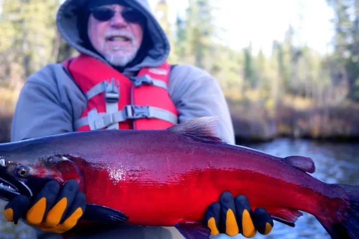 a young boy holding a fish