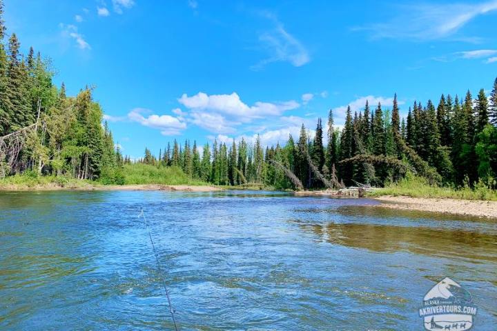 a body of water surrounded by trees