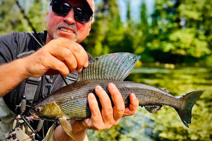 a man holding a fish