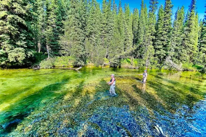 a group of people in a forest