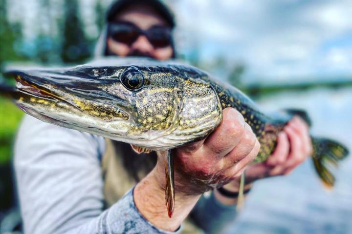 a person holding a reptile