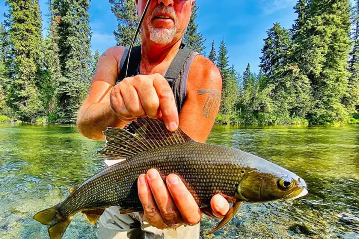 a man holding a fish