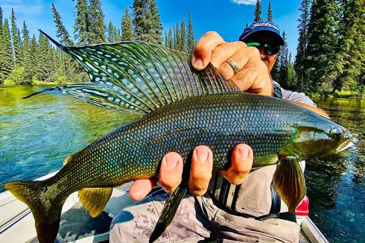 a man holding a fish