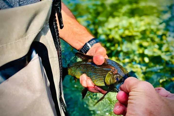a hand holding a cellphone