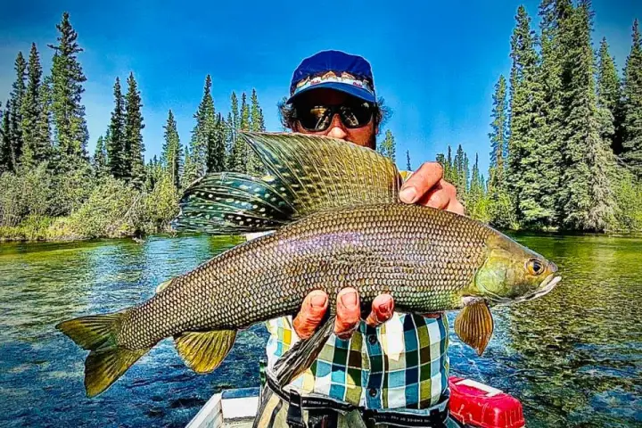 a man holding a fish in the water