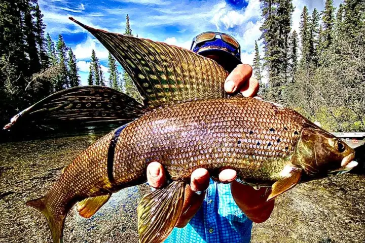 a person holding a fish