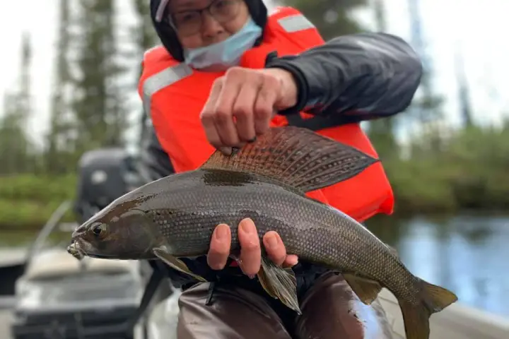 a person holding a fish