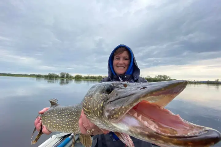 a person holding a fish in the water