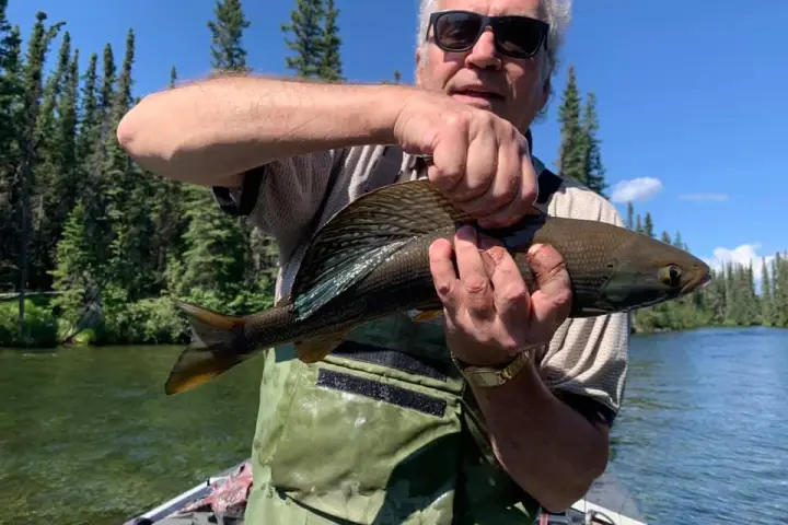 a man holding a fish in the water