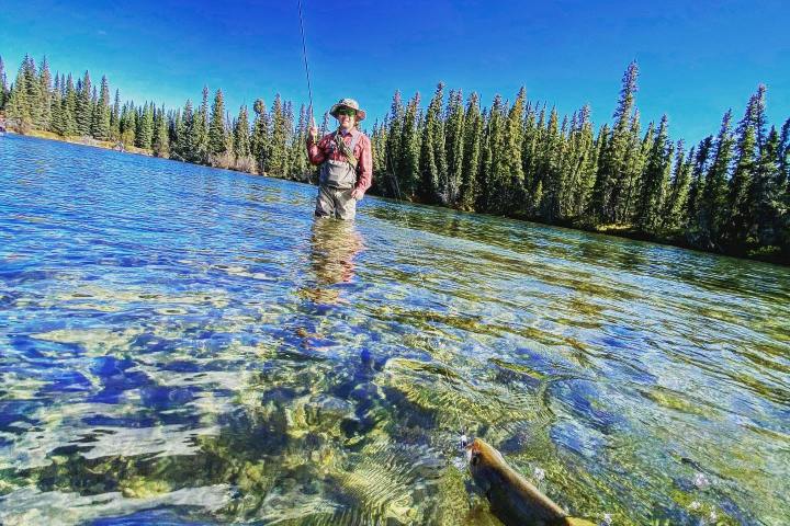 a tree next to a body of water