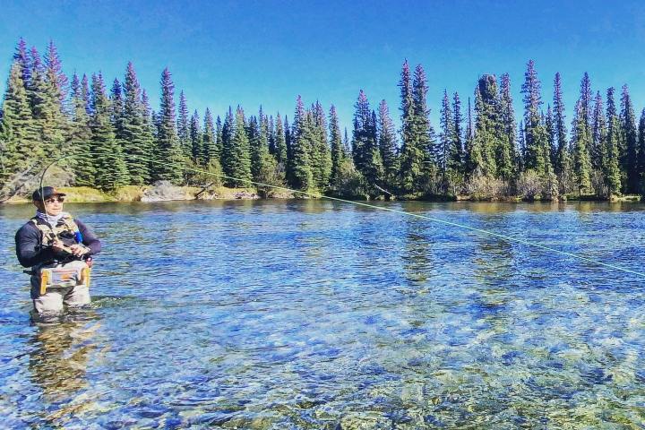 a body of water with trees in the background