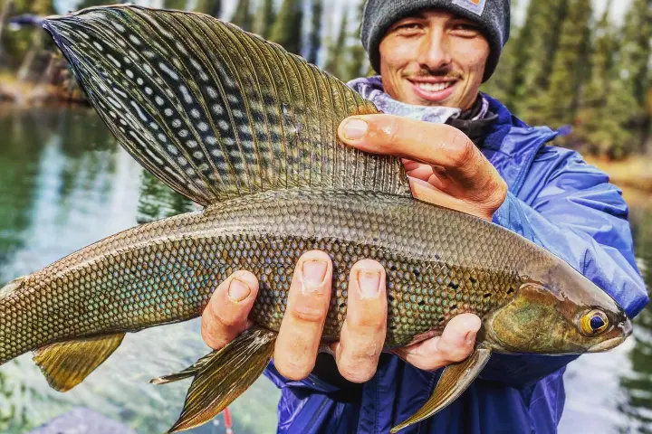 a person holding a fish