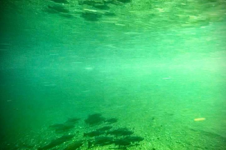 a large pool of water