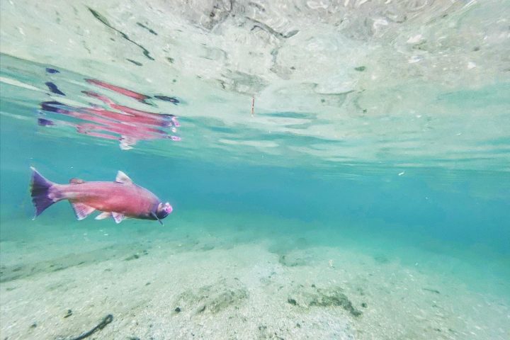 a large pool of water