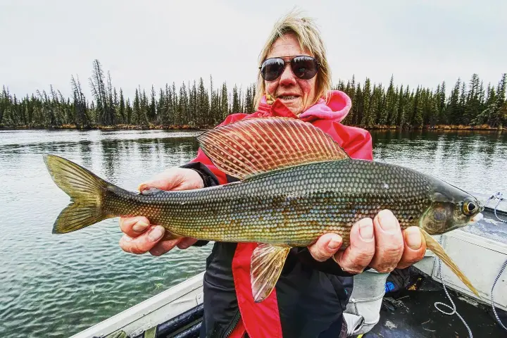 a man holding a fish in the water