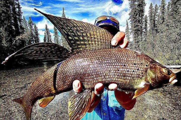 a man holding a fish