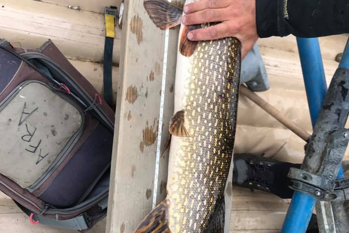 a person holding a gun