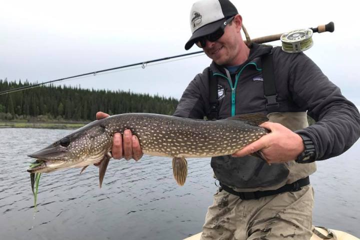 a man holding a fish