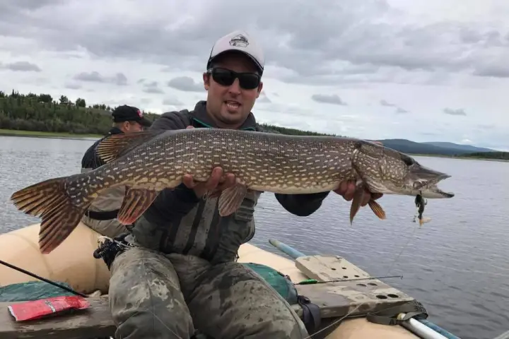 a person holding a fish on a boat in a body of water