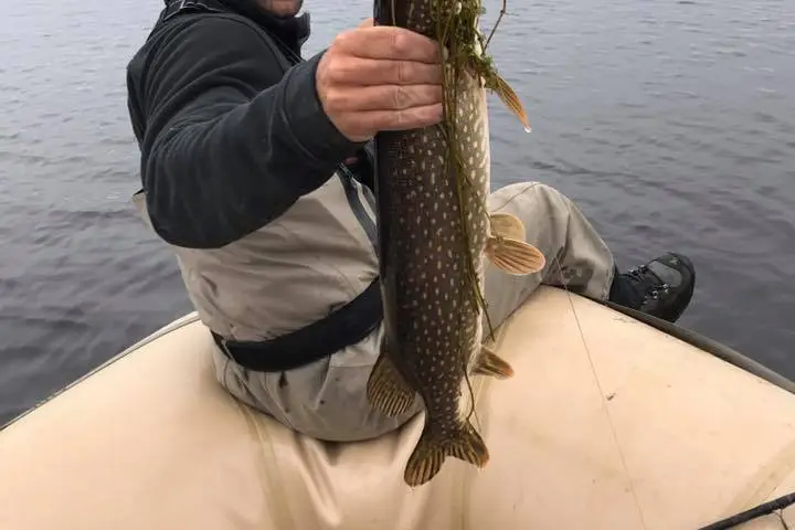 a man holding a fish on a boat in a body of water