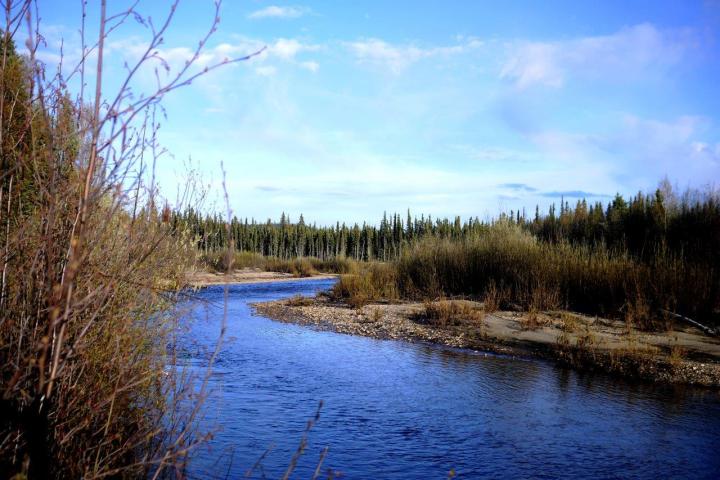 a body of water surrounded by trees