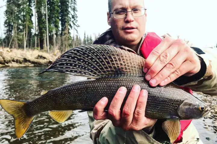 a man holding a fish