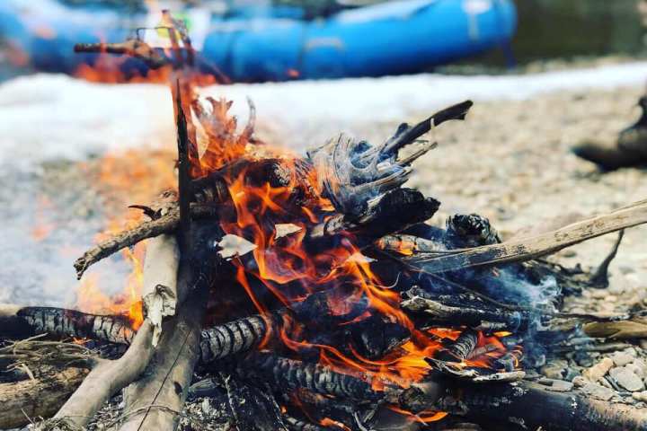 a pile of carrots sitting on a rock