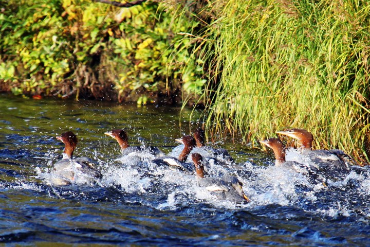a man riding a wave on a surfboard in the water