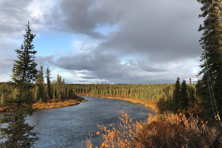 a pond surrounded by trees