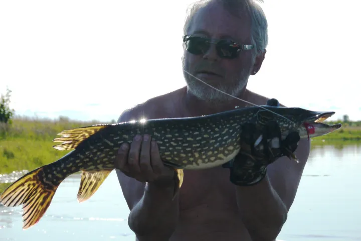 a man holding a fish in the water