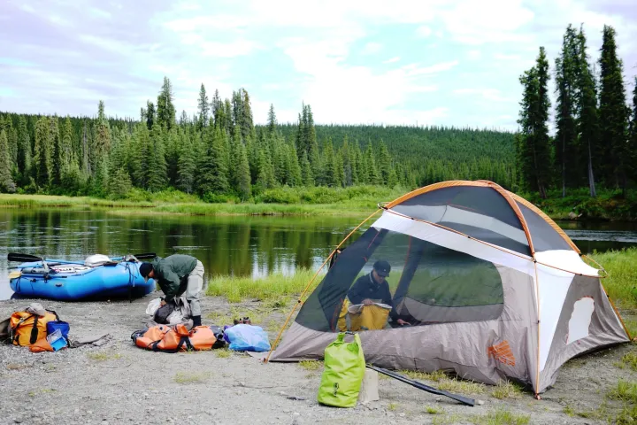 a tent in a forest