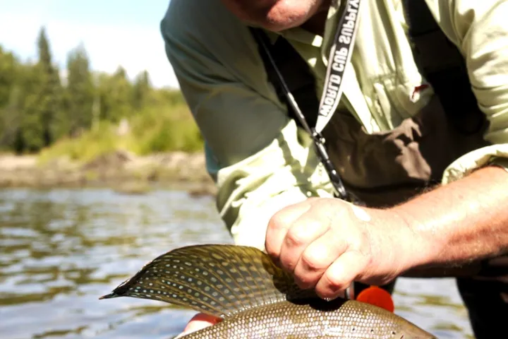a man holding a fish in the water