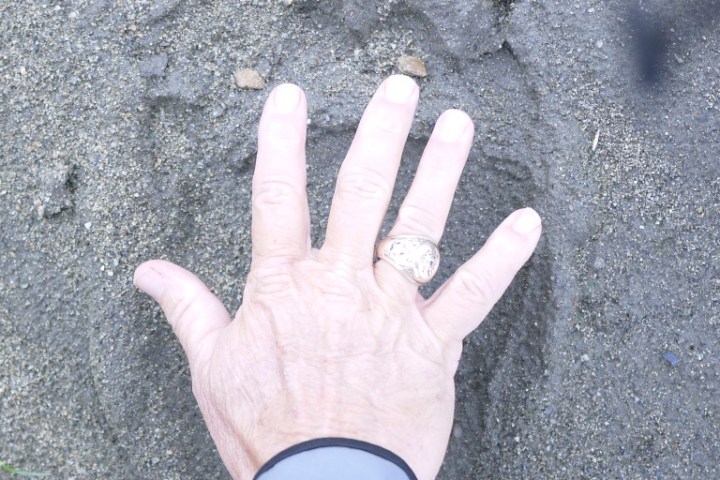 a hand holding a cell phone