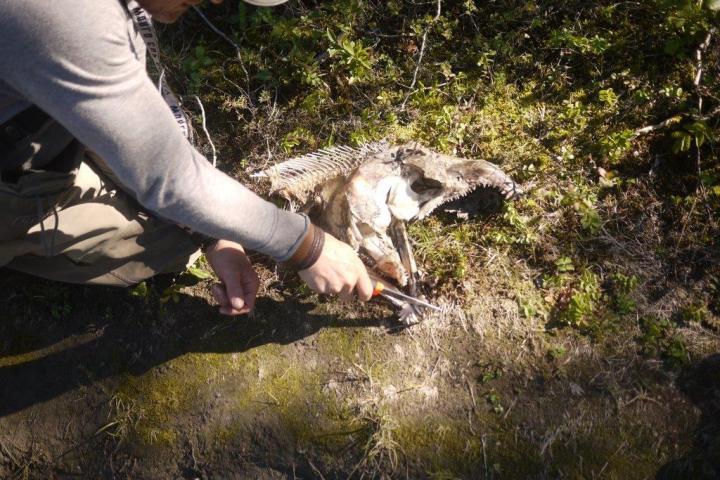 a person sitting on the grass