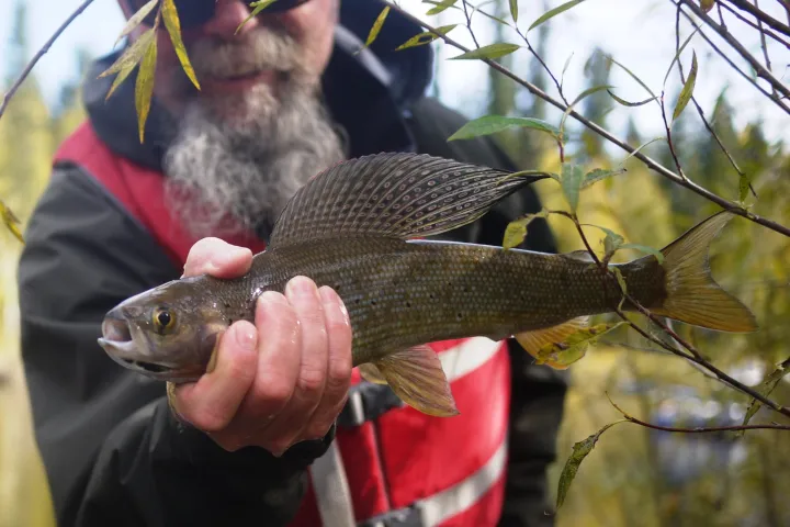 a person holding a fish