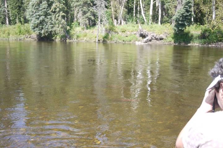a man standing next to a body of water