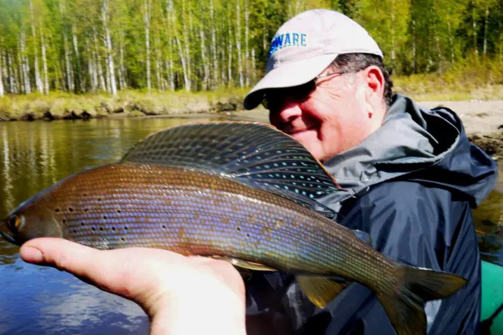 a man holding a fish