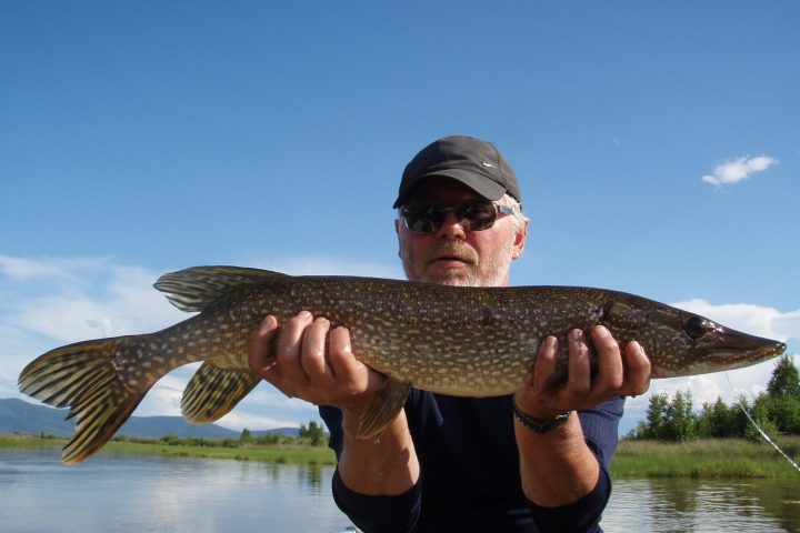 a person holding a fish in the water