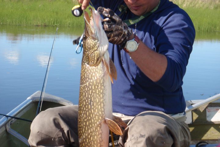 a man holding a fish in the water