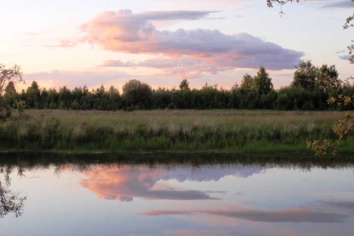 a body of water surrounded by trees