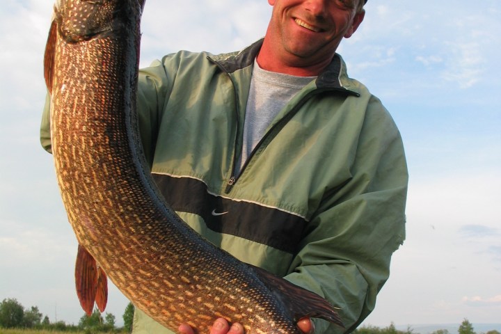 a man holding a fish in the water