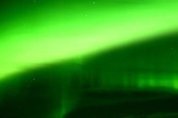 a worm on the ground